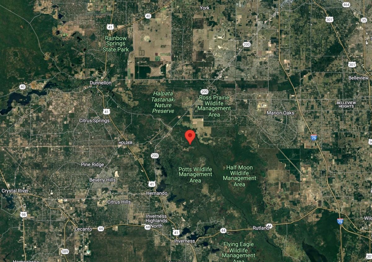  .12 Acres for Sale in Hernando, Florida