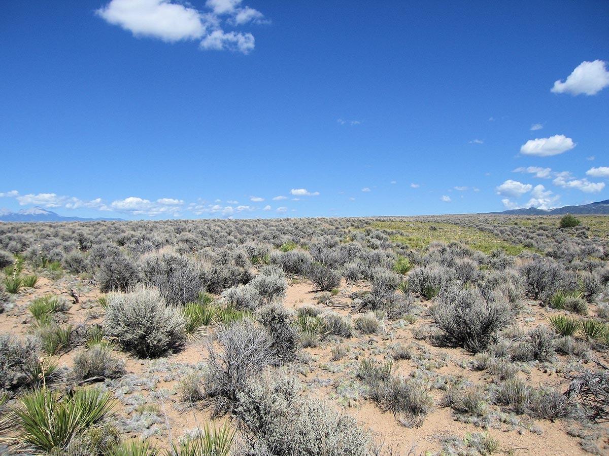  5.00 Acres for Sale in San Acacio, Colorado