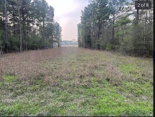  0.26 Acres for Sale in Livingston, Texas