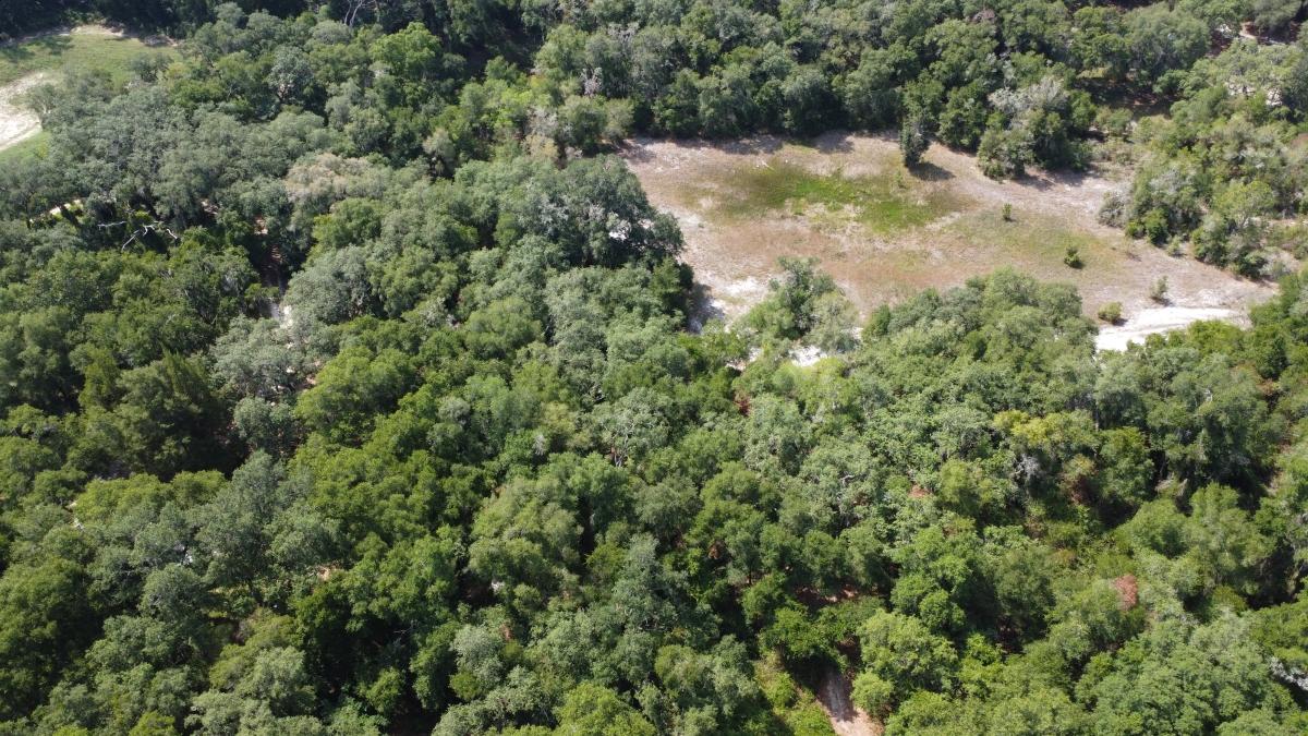  0.22 Acres for Sale in Interlachen, Florida