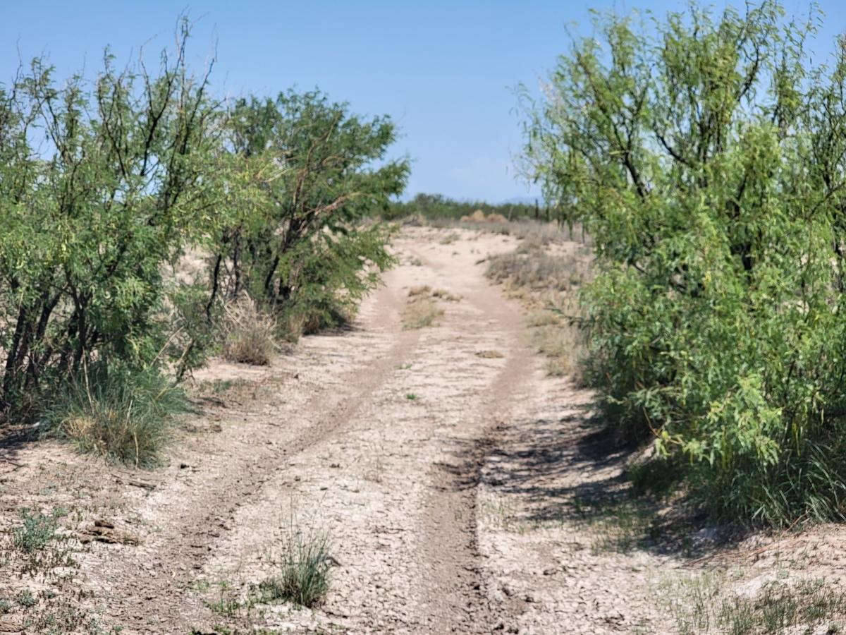  0.85 Acres for Sale in Sunsites, Arizona