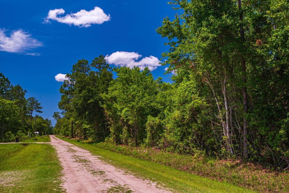  1.13 Acres for Sale in Hastings, Florida