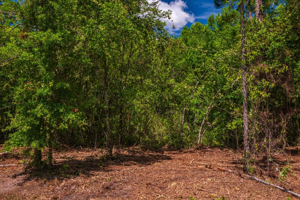  1.13 Acres for Sale in Hastings, Florida