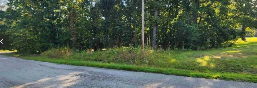  0.33 Acres for Sale in Cherokee Village, Arkansas