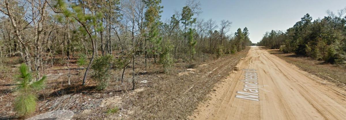  0.45 Acres for Sale in Interlachen, FL