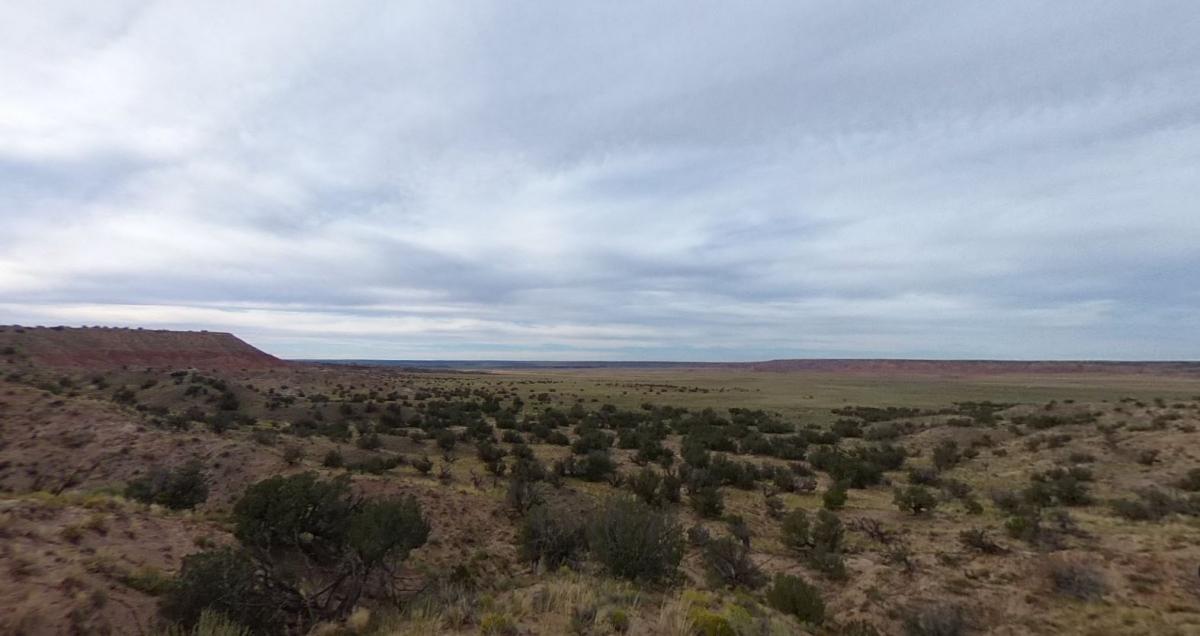  37 Acres for Sale in Saint Johns, AZ