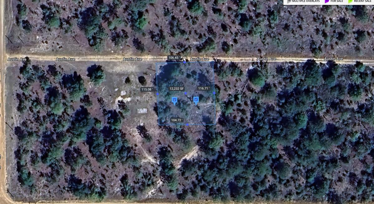  0.2 Acres for Sale in Interlachen, FL